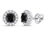 1.00 Carat (ctw) Enhanced Black and White Diamond Earrings in 10K White Gold